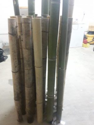 Proof of concept Bamboo Sound Barrier